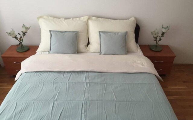 Apartment Ilica Britanac