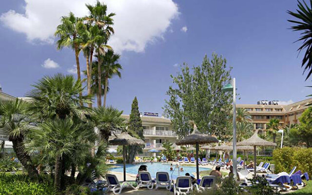 allsun App.-Hotel Orquidea Playa