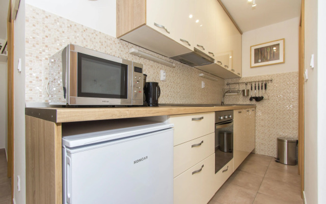 Apartment Shiny Love