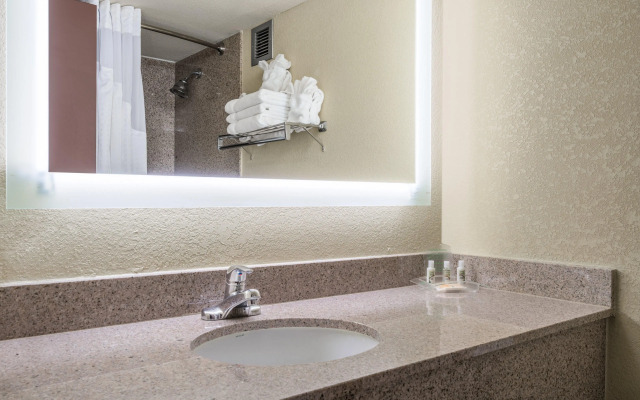 Holiday Inn Morgantown - Reading Area by IHG