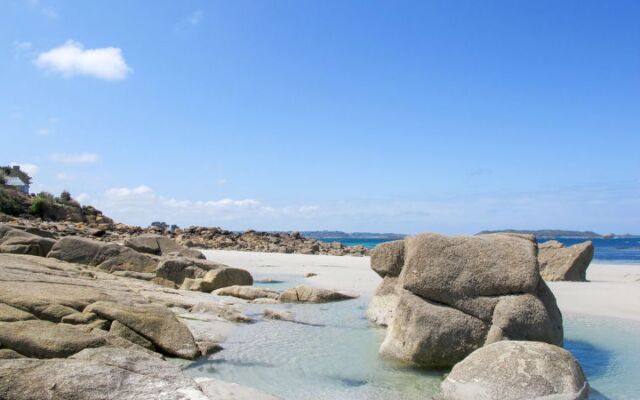 Les Courlis (TTT100)