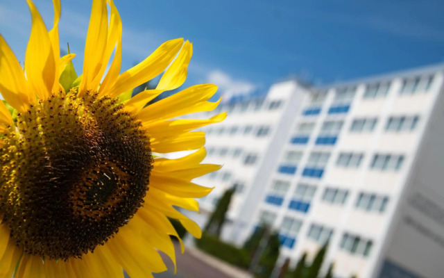 [Bee]Village Messehotel Hannover-Laatzen.
