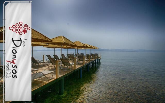 Assos Dionysos Hotel Special Class - Adults Only