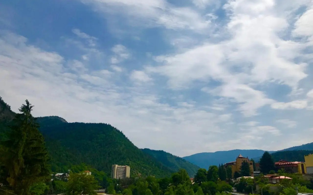Borjomi Central