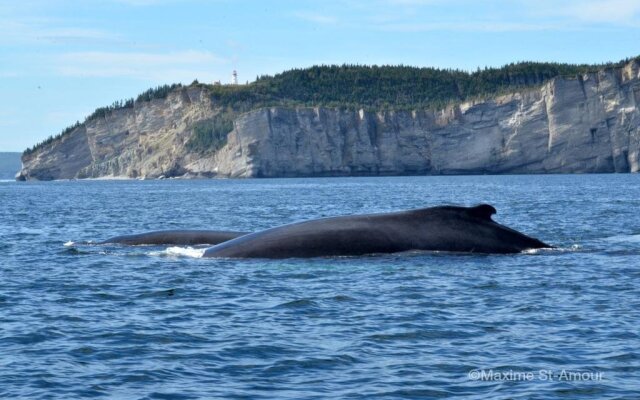 Gîte Pétales de Rose