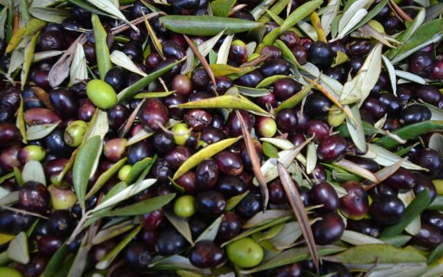 Charming Villa in Tuscany With Swimming Pool