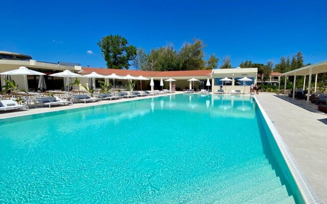 Domes Aulus Zante, Autograph Collection