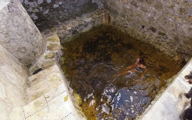 Mini Pini Birdwatching and Cenote Loft4 you Only