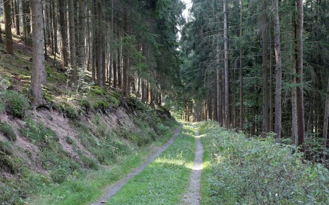 Cosy Apartment in Medebach with Terrace