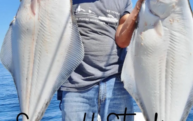 Seagull Studio Vacation Guest Suite