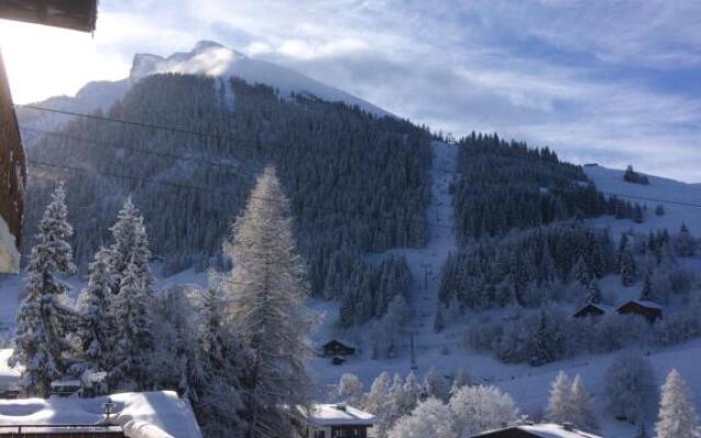 Chalet-Hôtel du Borderan