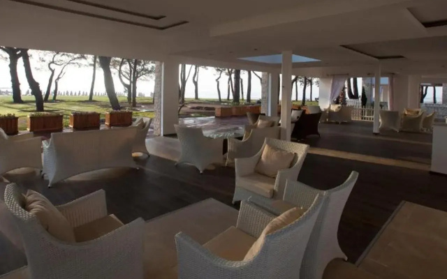 Juju Premier Palace 