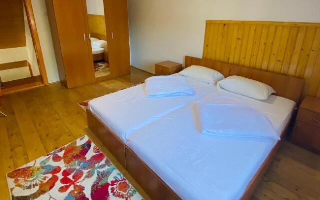 Casa de Vacanta Diana Moneasa