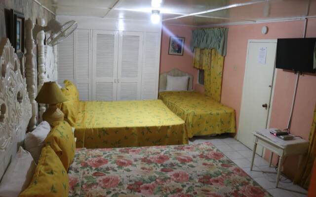 Hibiscus Hostel