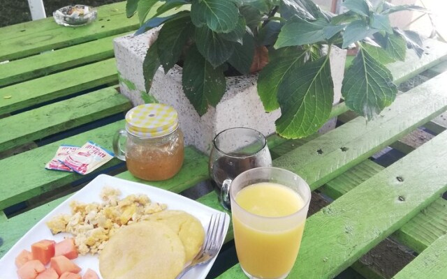 Tree House Hostel