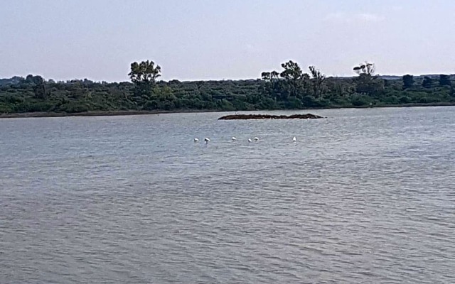 Miramare