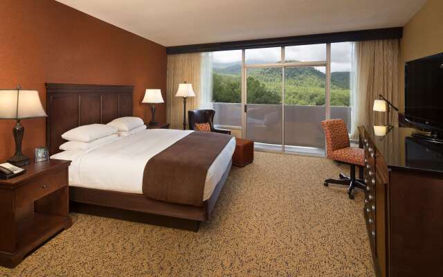 The Park Vista - a DoubleTree by Hilton Hotel - Gatlinburg