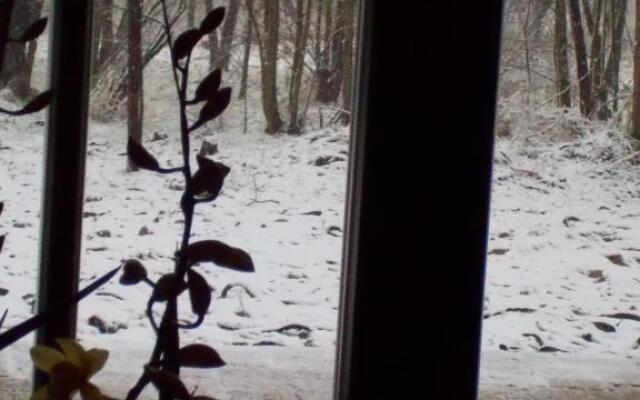 Guest House Vidravar