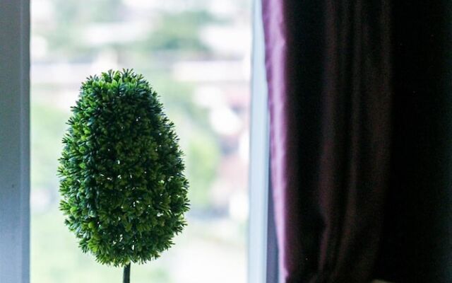 Super OYO Capital O 90545 Ho Hotel