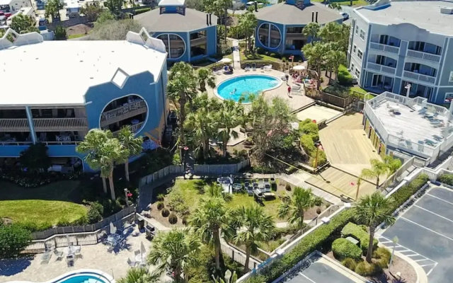 Hibiscus H104 in St Augustine