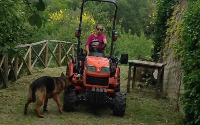 Agriturismo La casella