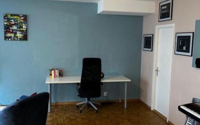 Beautiful Large Studio in center of Geneva Free Wifi