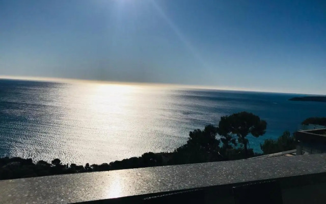 Costa Plana Collection