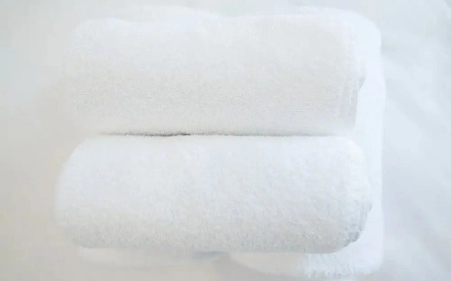 Peaceful Oasis in Randwick With Private Garden Patio