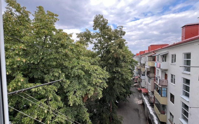 Apartments on Lenin Avenue 41