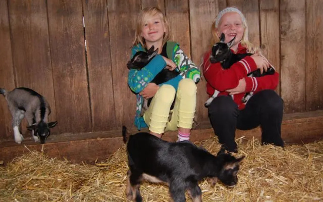 Hotel - Pension Breilerhof