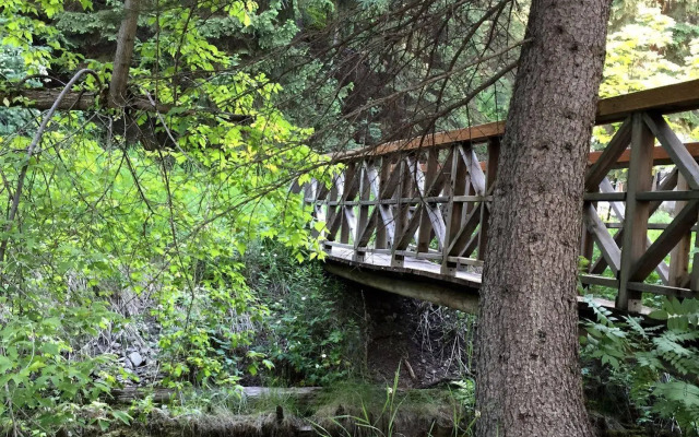Treehouse by the Stream