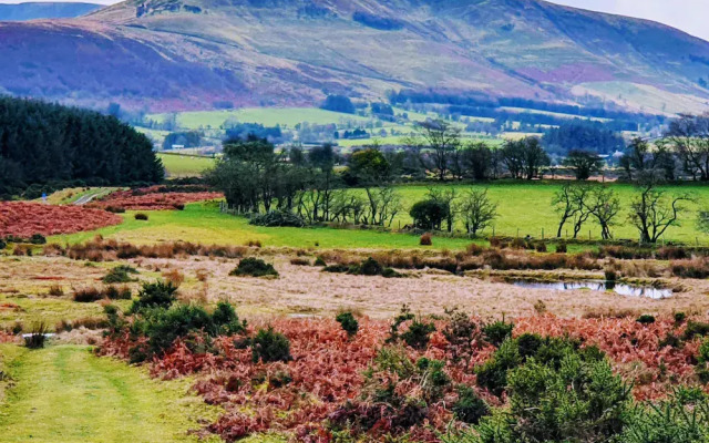 Upper Ffinnant
