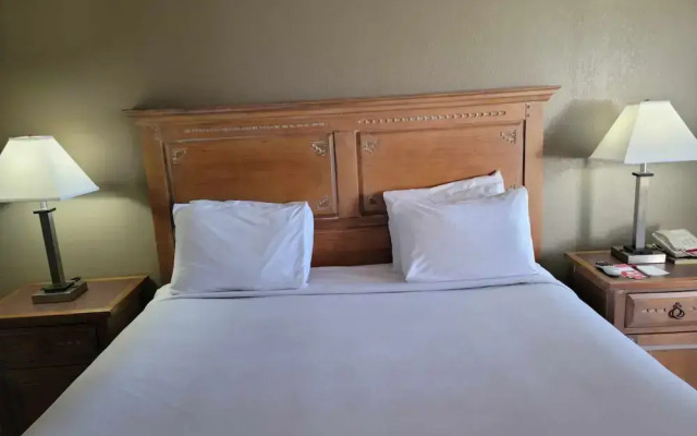 Econo Lodge Springerville