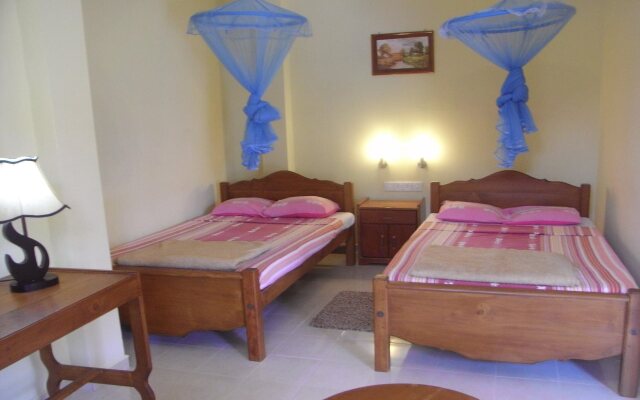 The Rainforest Ecolodge