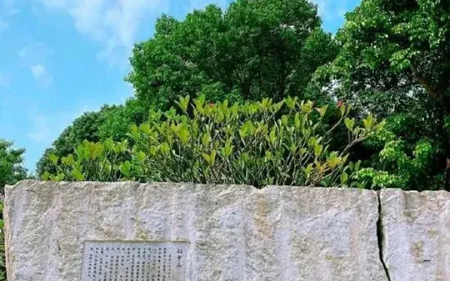 Zhongshan shanhaiju apartment