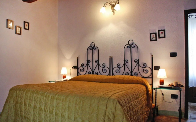 Fattoria Bio Pieve a Salti, Montalcino