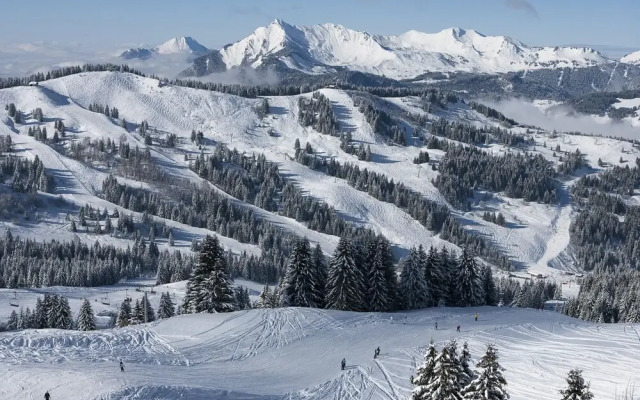 Résidence Annapurna - A105 T3 cabin