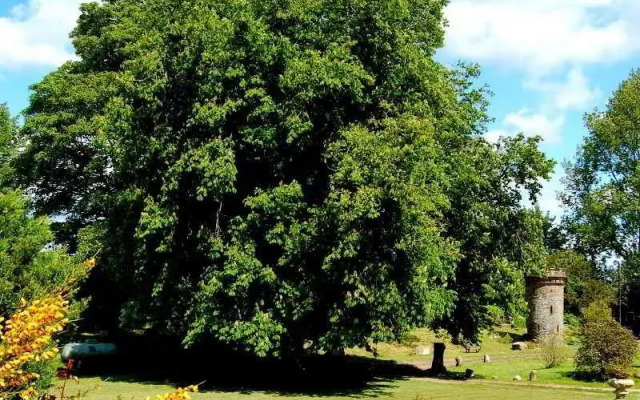 The Urr Valley Country House Hotel