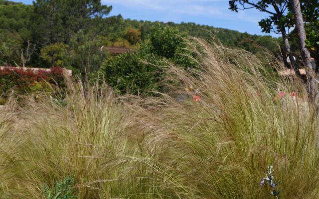 Les Jardins De Santa Giulia - Charmante chambre d'hôte 2