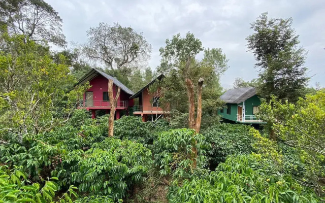The Rain Tree Resort