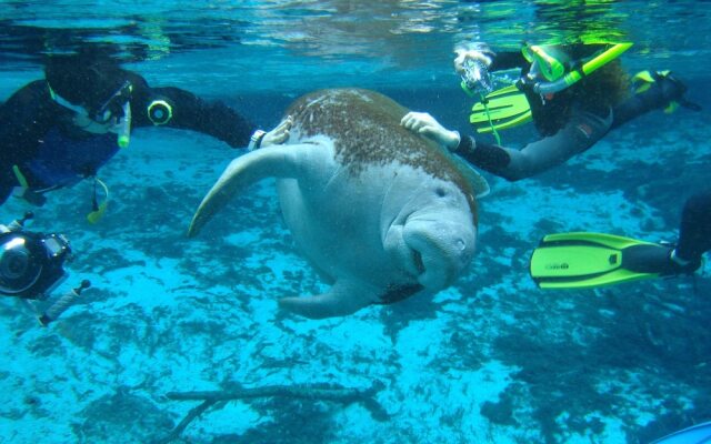 Holiday Inn Express & Suites Trinity