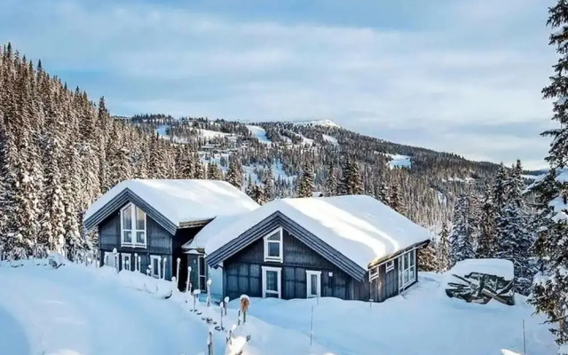 14 Person Holiday Home in Fåvang