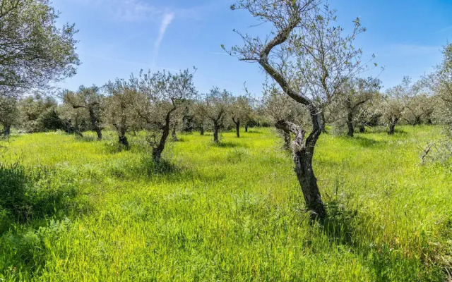 Sardinia Re - Casa Baingio