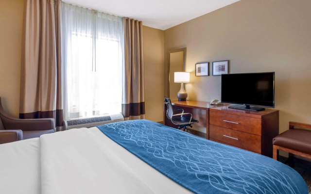 Comfort Inn & Suites Lynchburg Airport - University Area