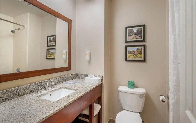 Comfort Inn Petersburg Fort Lee Area