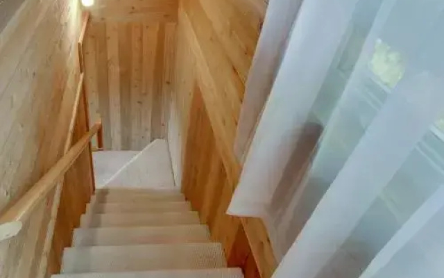 Cannon Beach Tree House