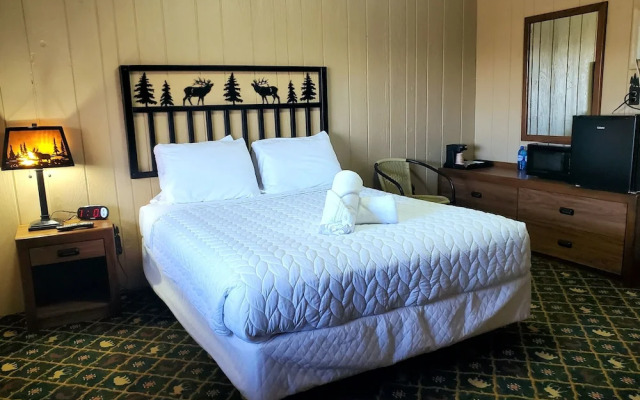 The Carter inn