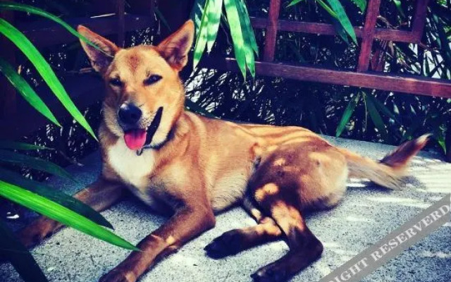 Baan Sai Tan