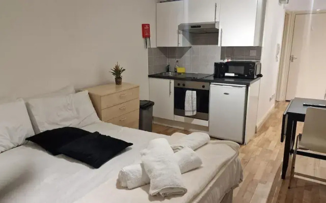 Compact Living Cosy Studio Flat in London