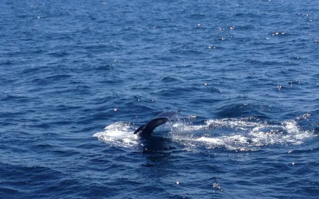 Midway Motel and Cottages